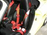 Closeup of driver's side harness.
